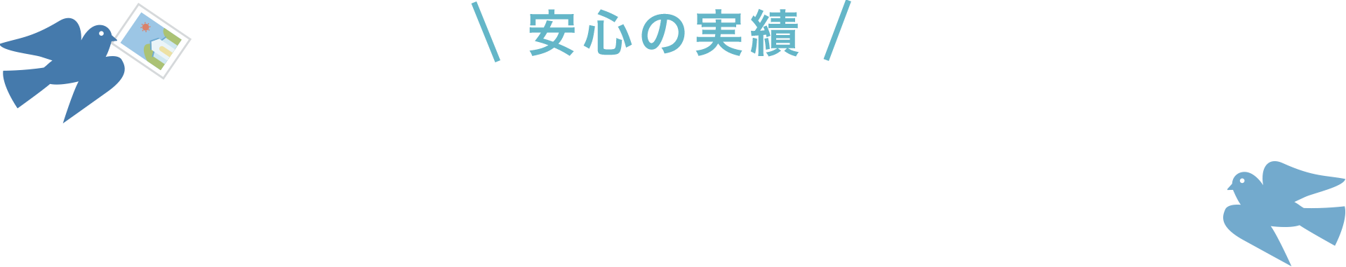 安心の実績